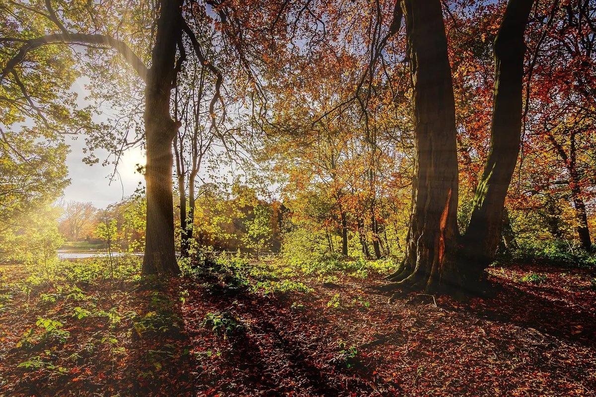 A Seasonal Checklist for Somerset Heritage Days Out: Spring, Summer, Autumn, and Winter